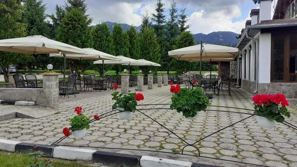 קאיה Hotel Cheia מראה חיצוני תמונה